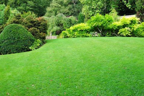 11353_16.jpg
