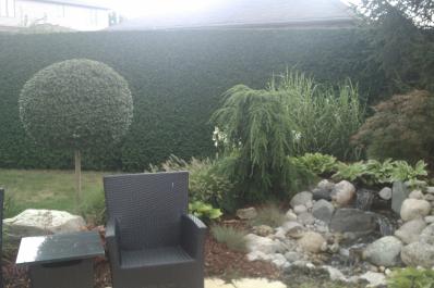 Shrub and Hedge Pruning