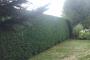 A recent property company job in the area