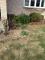 Before a completed garden maintenance company project in the area