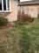 Before a completed garden maintenance company project in the area