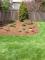 A happy customer of Green Magic Landscaping