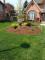 A happy customer of Green Magic Landscaping